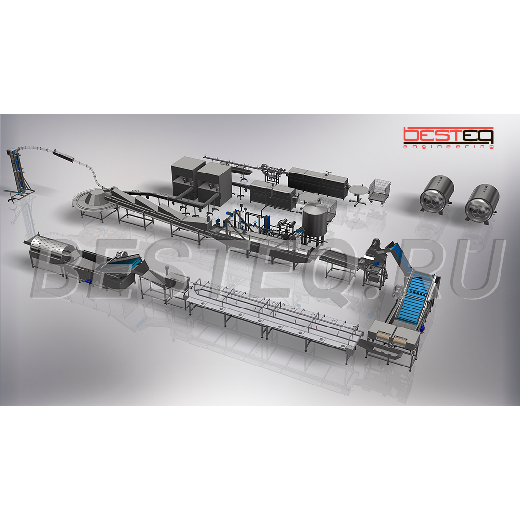 Линия производства рыбных консервов (обжаренная рыба в заливке) BESTEQ-FCL-9000 бан/смена от производителя — купить с доставкой по России и СНГ