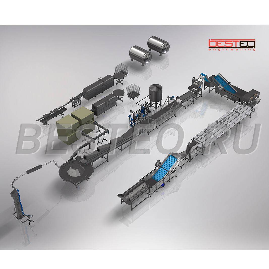 Линия производства рыбных консервов (обжаренная рыба в заливке) BESTEQ-FCL-9000 бан/смена от производителя — купить с доставкой по России и СНГ