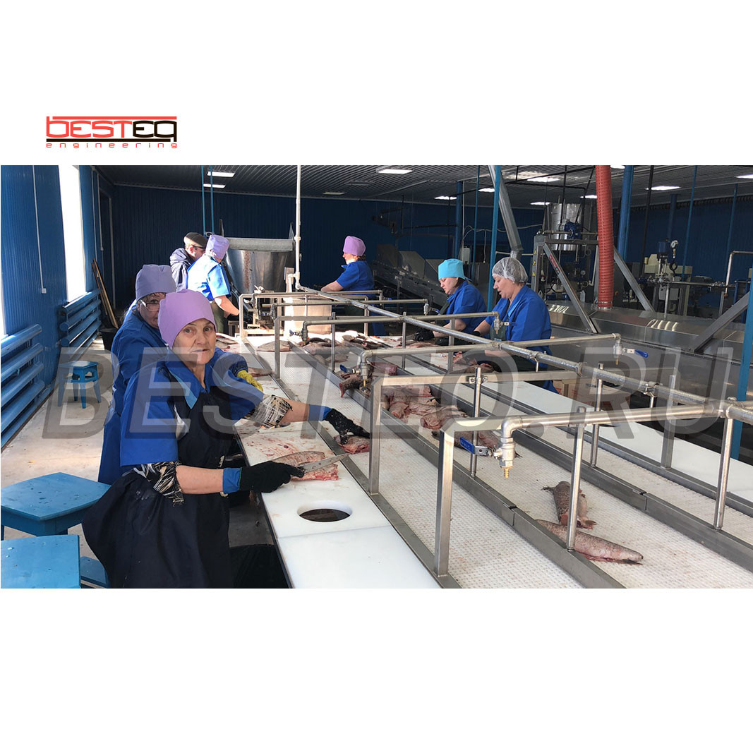 Линия производства рыбных консервов (обжаренная рыба в заливке) BESTEQ-FCL-9000 бан/смена от производителя — купить с доставкой по России и СНГ