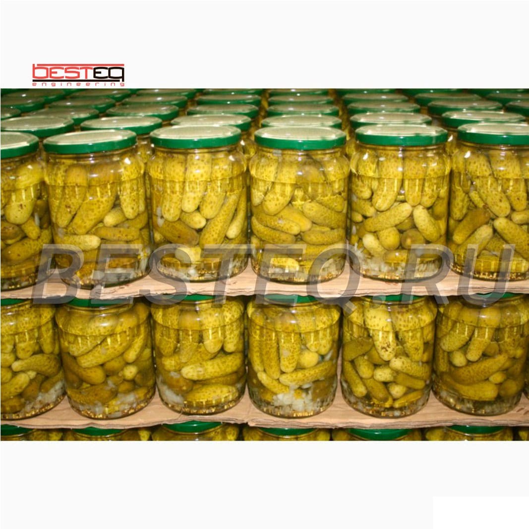 Комплект оборудования для фасовки и упаковки соленых и маринованных овощей заказать в России | ООО БЕСТЕК-Инжиниринг